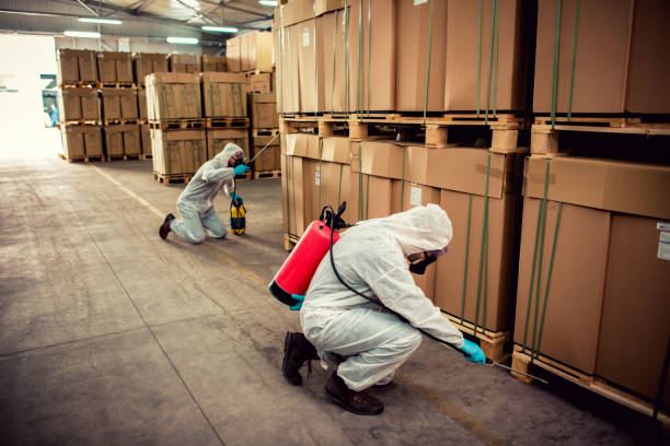 Best Local Pest Control Services  in Mooresville, NC