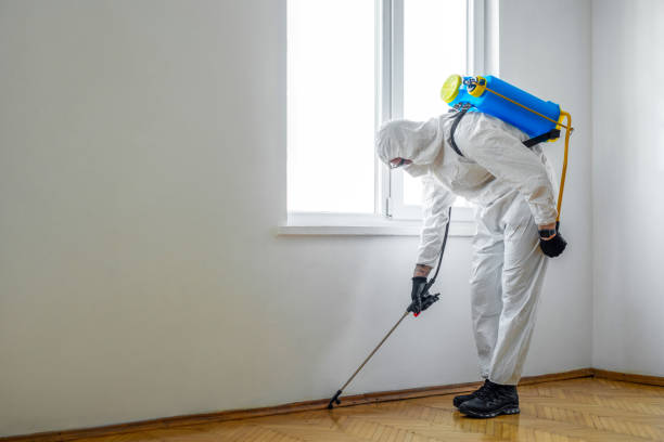 Best Best Pest Control Companies  in Mooresville, NC