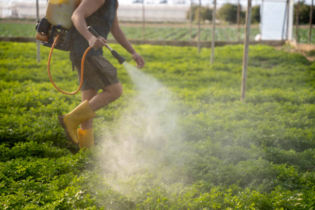 Best Affordable Pest Control Services  in Mooresville, NC