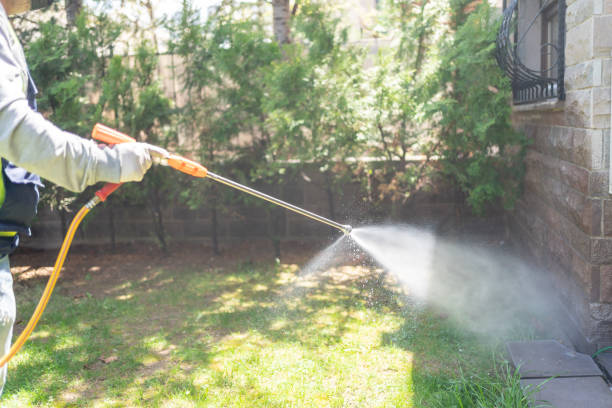 Best Wasp Removal Services  in Mooresville, NC