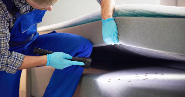 Best Cockroach Control Services  in Mooresville, NC