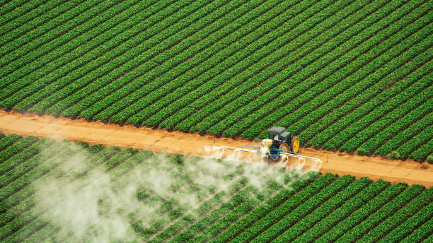 Pest Control Cost in Mooresville, NC